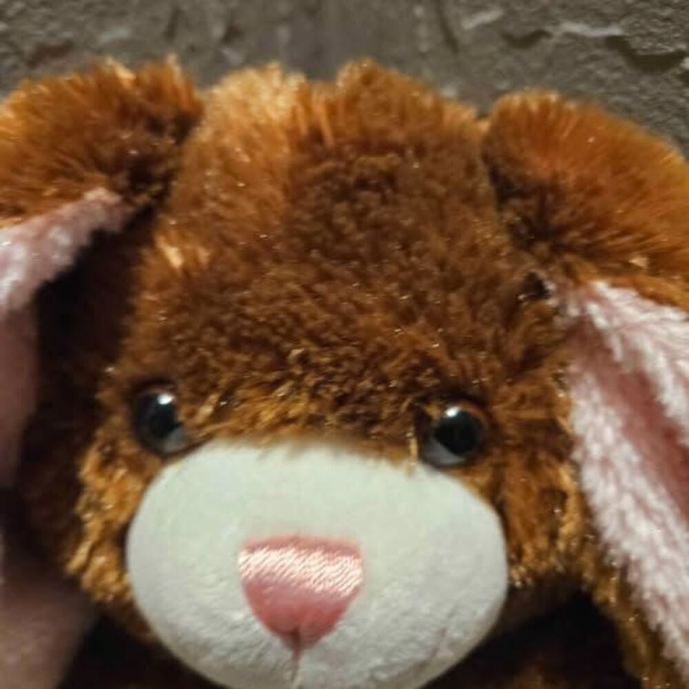 Build-a-Bear Floppy Ear Rabbit-16” - Picture 2 of 6
